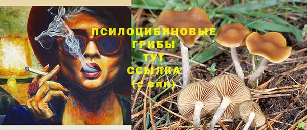 гашишное масло Вязьма