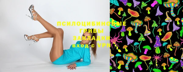 гашиш Вяземский